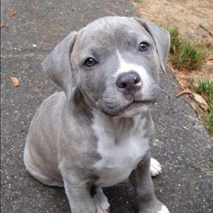 Meet your Posher, Kat